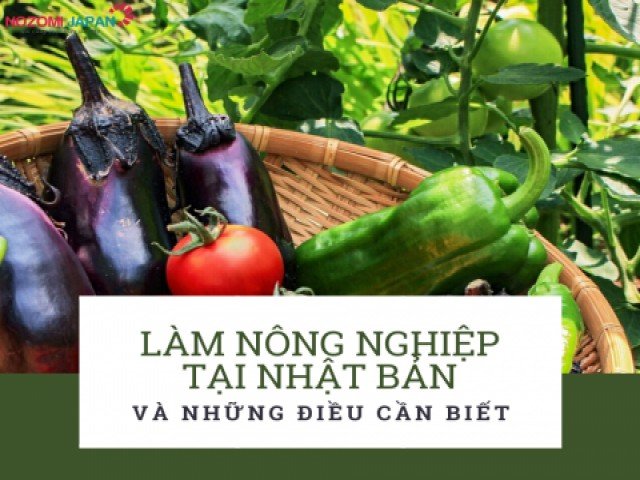 Làm nông nghiệp ở Nhật Bản và những điều cần biết