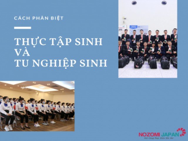 Cách phân biệt thực tập sinh và tu nghiệp sinh