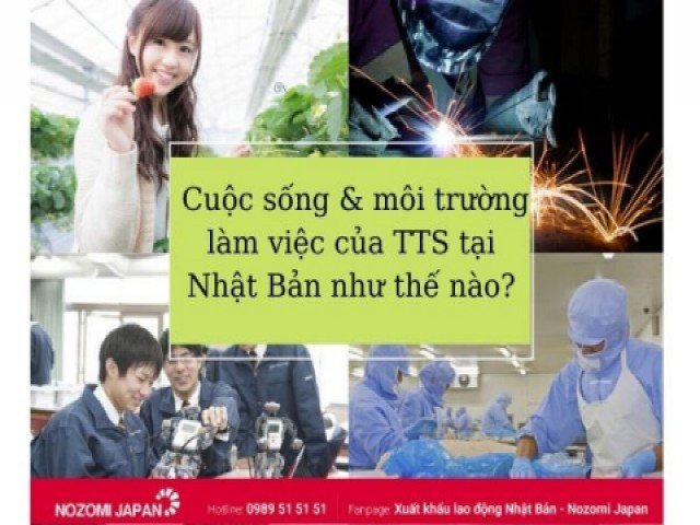  Cuộc sống thực tế và môi trường làm việc của Thực tập sinh tại Nhật Bản như thế nào?