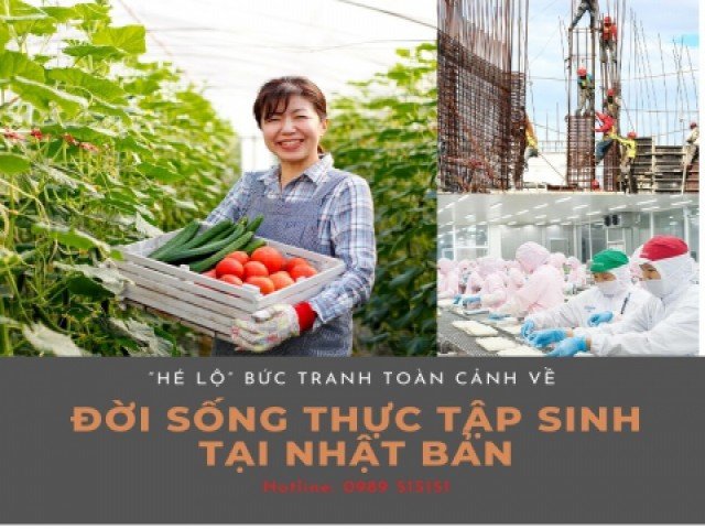 “Hé lộ” bức tranh toàn cảnh về đời sống thực tập sinh tại Nhật Bản