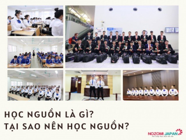 Học nguồn là gì? Những lợi ích khi tham gia khóa học nguồn?