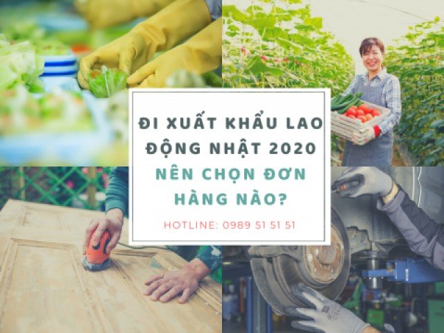 Đi Nhật nên chọn đơn hàng nào? Lương Cao trong năm nay