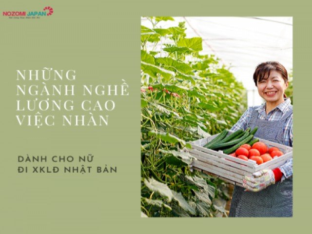 Những ngành nghề lương cao việc nhàn dành cho Nữ đi XKLĐ Nhật Bản