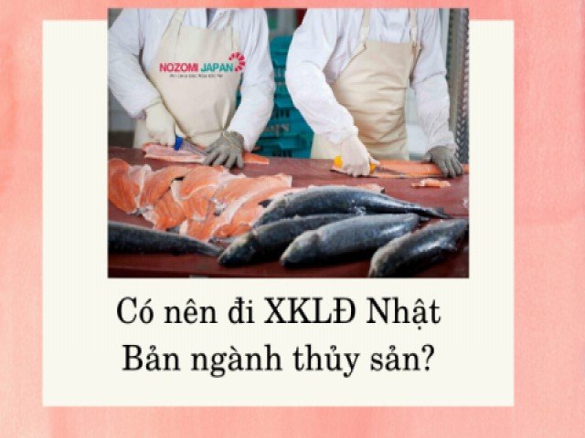 Có nên đi xuất khẩu lao động Nhật Bản ngành thủy sản?